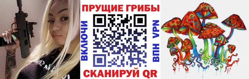 Псилоцибиновые грибы Cubensis Ельня