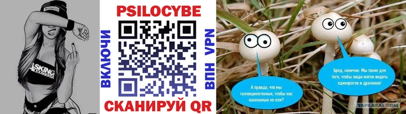 закладка  Ельня  Галлюциногенные грибы Cubensis 